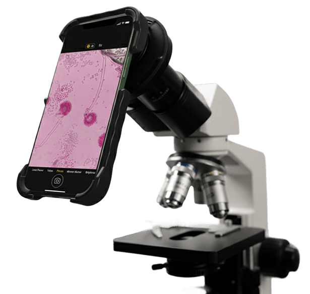 Microscopecam images